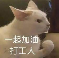 1655284761894009100.jpeg 9.jpeg